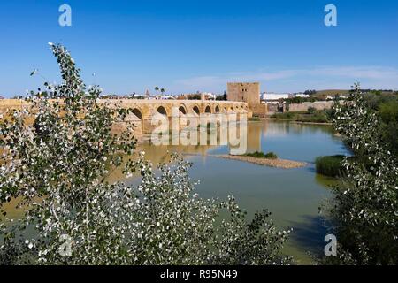 Cordoba, Cordoue, Andalousie, province du sud de l'Espagne. Le pont romain de traverser la rivière Guadalquivir et menant à la tour de Calahorra. Banque D'Images