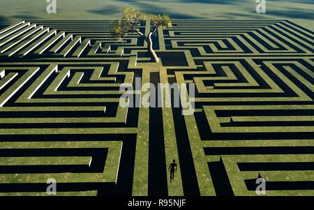 Un arbre vert au centre d'un labyrinthe Banque D'Images