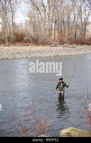 Fly fisherman casting pour la truite arc-en-ciel sur la rivière Salmon, à New York, USA Banque D'Images