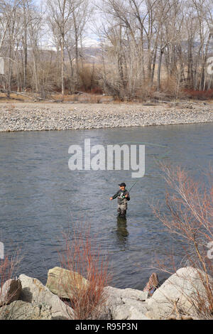 Fly fisherman casting pour la truite arc-en-ciel sur la rivière Salmon, à New York, USA Banque D'Images