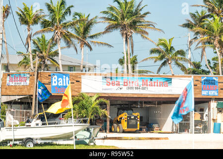 Layton, USA - 1 mai 2018 : Ville de Florida Keys le long de la route La route d'outre-mer avec des oiseaux de mer marina, humide, sec, la rampe de stockage location de bateau, appâts, s'attaquer à Banque D'Images