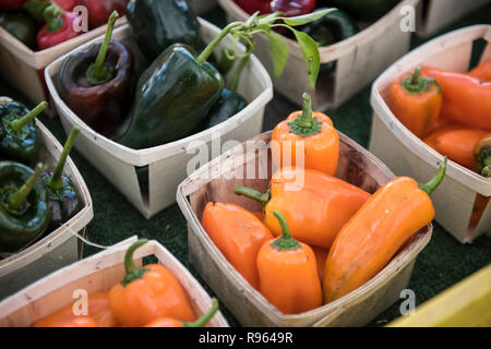 Fresh orange et vert poivrons colorés vendus au marché sur un matin occupé. La grande quantité de légumes frais ook et plusieurs variétés Banque D'Images