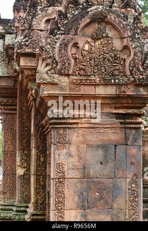 Sculptures détaillées sur les ruines de la jungle au Cambodge Banque D'Images