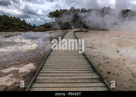 Rotorua, Wai-O-Tapu, Bay of Plenty, île du Nord, Nouvelle-Zélande Banque D'Images