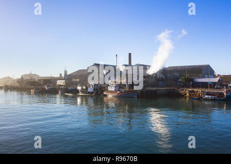 Usine de poisson à Lamberts Bay Harbour ou Harbor sur la côte ouest , vue tôt le matin avec des réflexions dans la mer et les bateaux de pêche amarrés au quai Banque D'Images