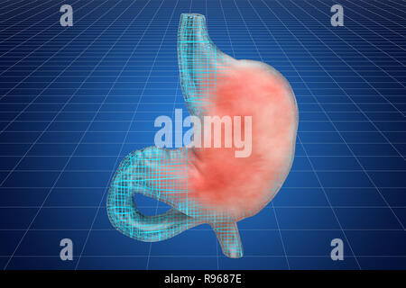 La visualisation de modèle CAO en 3d de l'estomac humain, rendu 3D Banque D'Images