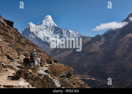 L'Ama Dablam s'élève au-dessus de la vallée du Khumbu, Népal, région de l'Everest Banque D'Images