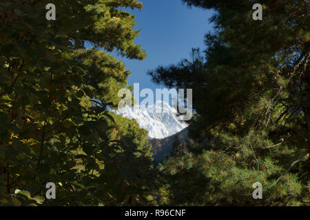 Le mont Everest vue à travers les arbres, Khumbu, Népal Banque D'Images