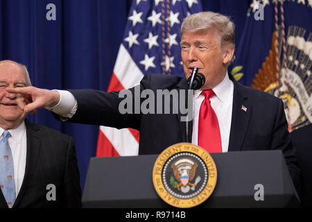 Washington, États-Unis d'Amérique. 18Th Oct, 2018. Le président américain, Donald Trump, prononce une allocution avant de signer le projet de loi sur l'agriculture dans la loi à la Maison Blanche à Washington, DC Le 20 décembre 2018. Crédit : Alex Edelman/CNP Crédit dans le monde entier | conditions : dpa/Alamy Live News Banque D'Images