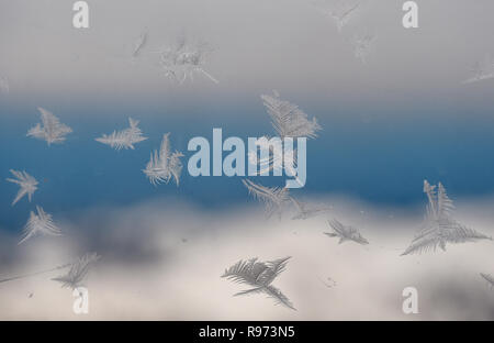 Grainau, Allemagne. Dec 21, 2018. Les fleurs de glace à une fenêtre de la station de montagne sur la Zugspitze ressemblent à des plumes de duvet. Credit : Angelika Warmuth/dpa/Alamy Live News Banque D'Images