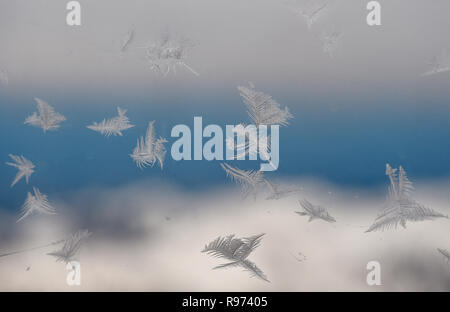 Grainau, Allemagne. Dec 21, 2018. Les fleurs de glace à une fenêtre de la station de montagne sur la Zugspitze ressemblent à des plumes de duvet. Credit : Angelika Warmuth/dpa/Alamy Live News Banque D'Images