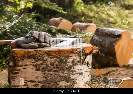 Ancienne hache et gants de travail sur un billot de bois. Banque D'Images