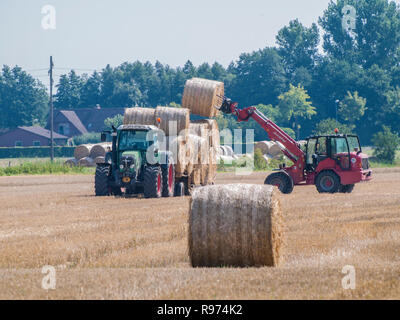 Ramasser des balles de paille dans un champ de chaume en Niedersachsen près de Barum, Elbmarsch, Allemagne. Banque D'Images