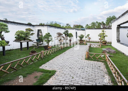 Mur jardin bordé de bonsai, Bao Family Garden, Shexian, Anhui, Chine Banque D'Images