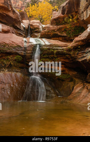 Cascade sur la Pine Creek à l'automne, Zion National Park, Utah Banque D'Images