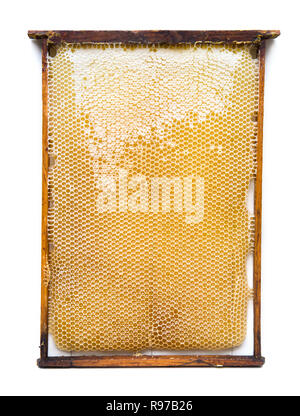 Le Rucher ruche cadre avec la structure de la cire d'abeille pleins d'abeilles à miel d'abeilles. Isolé sur fond blanc Banque D'Images