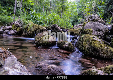 Flux d'eau dans la nature vert Banque D'Images