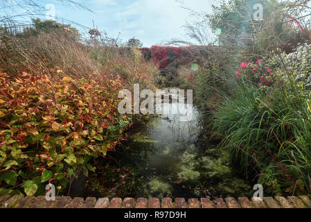 Étang dans un jardin en plein couleurs d'automne quelque part dans les Pays-Bas Banque D'Images