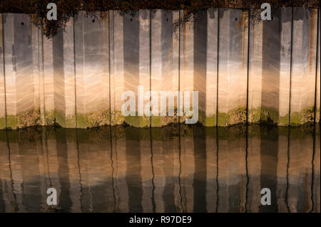 Barrière métallique à marina avec des plantes et des réflexions de l'eau créant des motifs abstraits. Banque D'Images