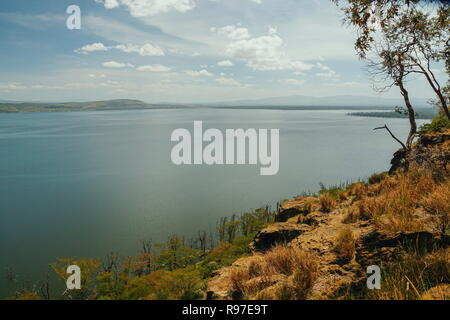 Forêt le long des rives du lac Nakuru, Kenya Banque D'Images