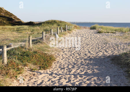 Chemin à travers les dunes dans la lumière du soir Banque D'Images