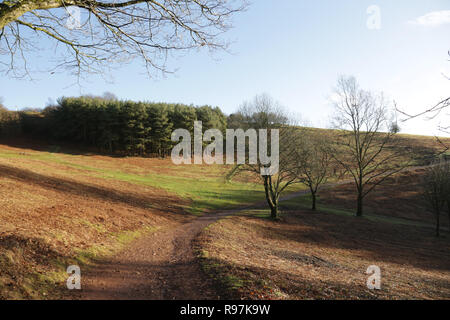 Sur les chemins publics Clent Hills, Worcestershire, Angleterre, Royaume-Uni. Banque D'Images