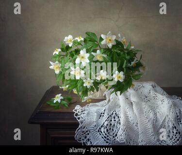 Nature morte au bouquet de fleurs anémone Banque D'Images