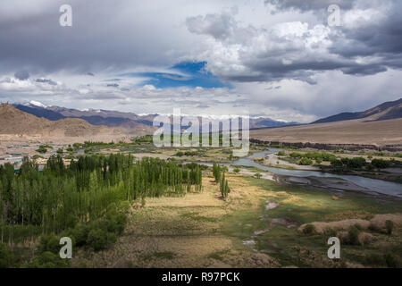 Beau panorama de la vallée de l'Indus vert près de la ville de Leh au Ladakh, le Jammu-et-Cachemire, en Inde. Banque D'Images