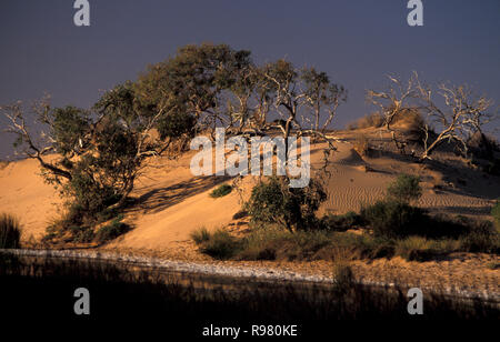 Afficher le long de l'OODNADATTA TRACK OUTBACK EN AUSTRALIE DU SUD Banque D'Images