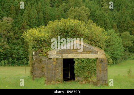 Rock farm shed en ruines d'être plus cultivés par les buissons, lui donnant l'aspect d'une coupe de cheveux bizarre. Dans tous les capture dans différentes teintes de vert, avec la nature tak Banque D'Images