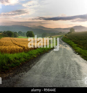 Petite route en début de matinée, département Puy de Dome, Auvergne, Rhone Alpes, France, Europe Banque D'Images