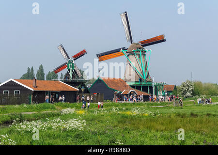 Les touristes à marcher le long des moulins à vent traditionnel néerlandais à Zaanse Schans en Pays-Bas Banque D'Images