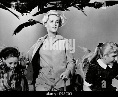 Film Original Titre : LES OISEAUX. Titre en anglais : les oiseaux. Année : 1963. Réalisateur : Alfred Hitchcock. Stars : TIPPI HEDREN. Crédit : Alfred J. Hitchcock Productions / Album Banque D'Images