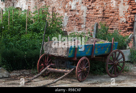 Ancien wagon en bois plein de foin près de lit de légumes de plant de tomate sur fond de mur en briques anciennes de country house Banque D'Images