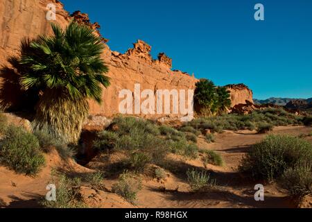 Le Nevada, Mesquite, Gold Butte National Monument, peu de Finlande Banque D'Images