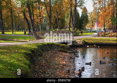 Automne parc avec petit lac et de canard à Riga, Lettonie ville Banque D'Images