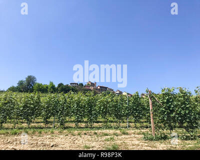 Paysage de campagne dans les Langhe surplombant le village Roddi, Italie - Piémont Banque D'Images