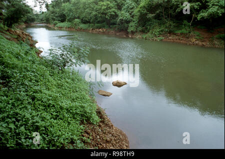 Rivière qui coule dans le Parc National de Borivali Bombay Mumbai Maharashtra Inde Banque D'Images