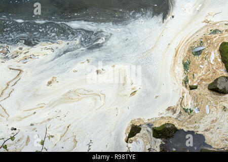 Extrêmement polluée waters, mousse blanche et d'huile sur la mer Banque D'Images