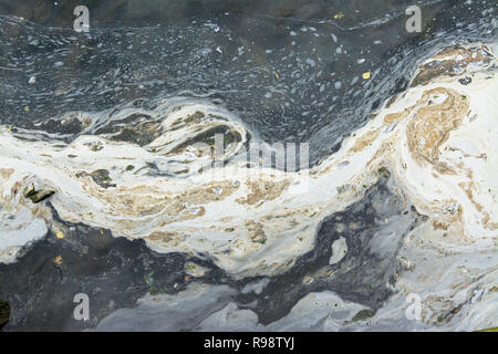 Extrêmement polluée waters, mousse blanche et d'huile sur la mer Banque D'Images