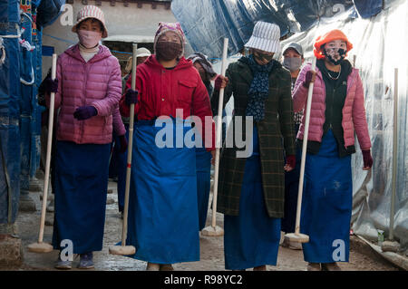 Paroissiens forment une ligne pour tasser le sol nouvellement prévues d'un temple en cours de reconstruction à Luzhou, Tibet, Chine Banque D'Images