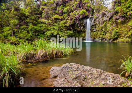 Pua'a'ka'a tombe sur la route de Hana à Maui, Hawaii, qui est un grand trou de natation Banque D'Images