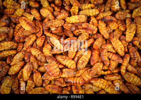 Insectes ver croustillant frit frit vers à soie / aliments riches en protéines d'insectes en bambou - Nymphe , Chrysalide dans l'alimentation de rue en thaï Banque D'Images