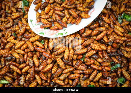 Insectes ver croustillant frit frit vers à soie / aliments riches en protéines d'insectes en bambou - Nymphe , Chrysalide dans l'alimentation de rue en thaï Banque D'Images