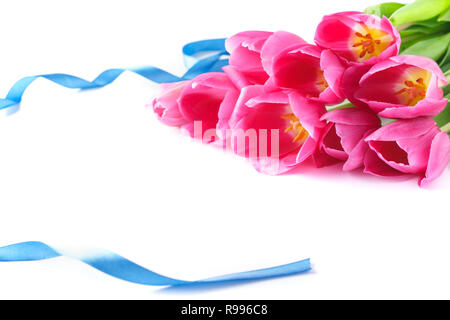 Floral design avec des tulipes roses et ruban bleu isolated on white Banque D'Images