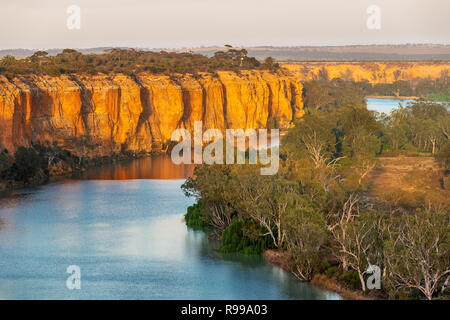 Les puissantes falaises de Murray River dans la première lumière du jour. Banque D'Images