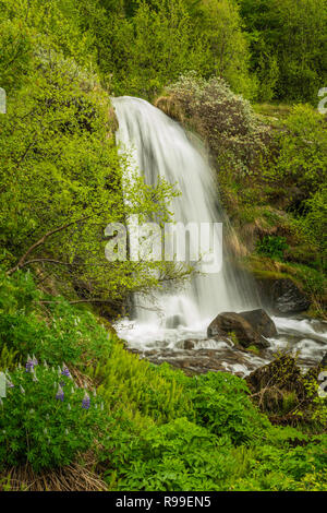 Une chute près de Akureyri, Islande, l'Europe. Banque D'Images