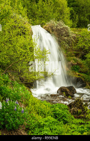 Une chute près de Akureyri, Islande, l'Europe. Banque D'Images