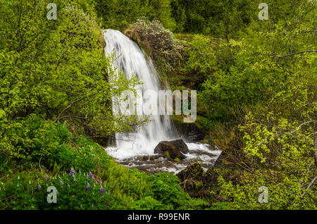 Une chute près de Akureyri, Islande, l'Europe. Banque D'Images