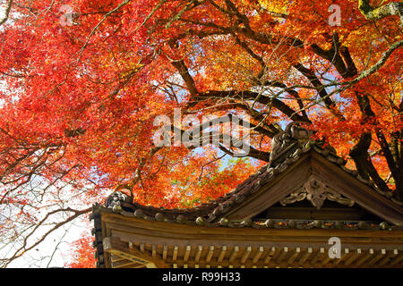 Fukiji Temple, la Préfecture d'Oita, Japon Banque D'Images